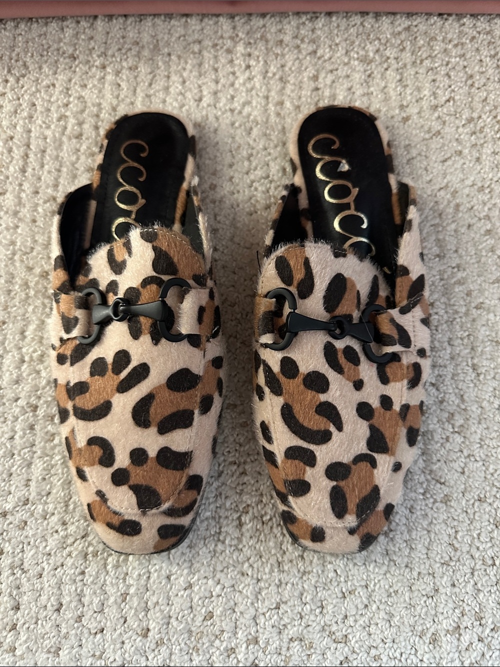 CCOCCI Leopard-Print Slip-On Mules in Brown and Black